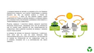 LA BIOMASA ENERGÍA SE REFIERE A LA BIOMASA «ÚTIL» EN TÉRMINOS
ENERGÉTICOS FORMALES: LAS PLANTAS TRANSFORMAN LA ENERGÍA
RADIANTE DEL SOL EN ENERGÍA QUÍMICA A TRAVÉS DE
LA FOTOSÍNTESIS, Y PARTE DE ESA ENERGÍA QUÍMICA QUEDA
ALMACENADA EN FORMA DE MATERIA ORGÁNICA; LA ENERGÍA QUÍMICA
DE LA BIOMASA PUEDE RECUPERARSE QUEMÁNDOLA DIRECTAMENTE O
TRANSFORMÁNDOLA EN COMBUSTIBLE.
PLANTAS, ANIMALES Y NOSOTROS MISMOS, MEDIANTE NUESTROS
PROCESOS PRODUCTIVOS, ORIGINAMOS ESTE TIPO DE MATERIALES
QUE SE PUEDEN USAR, DESPUÉS DE UNA TRANSFORMACIÓN EN
COMBUSTIBLE, PARA ALIMENTAR CALDERAS DE BIOMASA Y GENERAR
CALOR Y AGUA CALIENTE
LA BIOMASA SE OBTIENE DE RESIDUOS FORESTALES Y AGRÍCOLAS,
ESTO HACE QUE EL USO DE ESOS RESIDUOS PARA
CREAR BIOMASA REDUZCA EL COSTE DE DESHECHO Y SE INTEGREN EN
LA CADENA DE PRODUCCIÓN DE UN COMBUSTIBLE COMO ES
LA BIOMASA, AYUDANDO ASÍ A LA SOSTENIBILIDAD DEL MEDIO
AMBIENTE.
 
