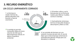 3. RECURSO ENERGÉTICO
1. La biomasa es
creada mientras las
plantas absorben CO2
durante su fase de
crecimiento.
2. El hombre cultiva y usa la
biomasa (por ej.) en forma de
madera para fabricar muebles,
construir viviendas, etc.
3. Eventualmente, la biomasa
termina en basurales donde se
descompone y libera su CO2.
4. Las centrales de biomasa son una
variación humana de este ciclo. En vez de
dejar que se descomponga, la biomasa es
quemada para generar energía para uso
doméstico e industrial
La ventaja es que esta
combustión libera el mismo
volumen de CO2 que la
descomposición natural, sin
alterar el equilibrio
ambiental.
UN CICLO LIMPIAMENTE CERRADO
 