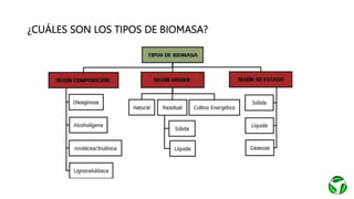 ¿CUÁLES SON LOS TIPOS DE BIOMASA?
 