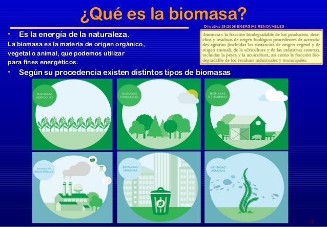 Crisis energetica. La biomasa y su aportacion