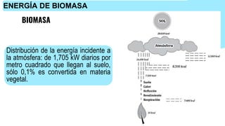 BIOMASA
Distribución de la energía incidente a
la atmósfera: de 1,705 kW diarios por
metro cuadrado que llegan al suelo,
sólo 0,1% es convertida en materia
vegetal.
ENERGÍA DE BIOMASA
 