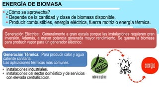 • ¿Cómo se aprovecha?
• Depende de la cantidad y clase de biomasa disponible.
• Producir combustibles, energía eléctrica, fuerza motriz o energía térmica.
Generación Térmica: Para producir calor y agua
caliente sanitaria.
Las aplicaciones térmicas más comunes:
• instalaciones industriales,
• instalaciones del sector doméstico y de servicios
con elevada centralización.
ENERGÍA DE BIOMASA
Generación Eléctrica: Generalmente a gran escala porque las instalaciones requieren gran
inversión. Además, a mayor potencia generada mayor rendimiento. Se quema la biomasa
para producir vapor para un generador eléctrico.
 