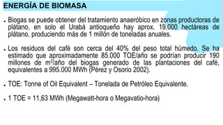 ● Biogas se puede obtener del tratamiento anaeróbico en zonas productoras de
plátano, en solo el Urabá antioqueño hay aprox. 19.000 hectáreas de
plátano, produciendo más de 1 millón de toneladas anuales.
● Los residuos del café son cerca del 40% del peso total húmedo. Se ha
estimado que aproximadamente 85.000 TOE/año se podrían producir 190
millones de m3/año del biogas generado de las plantaciones del café,
equivalentes a 995.000 MWh (Pérez y Osorio 2002).
● TOE: Tonne of Oil Equivalent – Tonelada de Petróleo Equivalente.
● 1 TOE = 11,63 MWh (Megawatt-hora o Megavatio-hora)
ENERGÍA DE BIOMASA
 