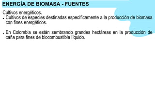 Cultivos energéticos.
● Cultivos de especies destinadas específicamente a la producción de biomasa
con fines energéticos.
● En Colombia se están sembrando grandes hectáreas en la producción de
caña para fines de biocombustible líquido.
ENERGÍA DE BIOMASA - FUENTES
 