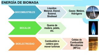BIOCOMBUSTIBLES
Líquidos:
Metanol, Etanol,
Butanol,
Biodiesel
Gases: Metáno,
Hidrógeno
BIOCALOR
Quema de
madera, pelets,
etc.
BIOELECTRICIDAD
Combustión e
caldera para
mover turbinas
Celdas de
Combustible
Microbianas
(MFCs)
ENERGÍA DE BIOMASA
 