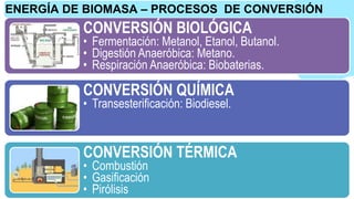 CONVERSIÓN BIOLÓGICA
• Fermentación: Metanol, Etanol, Butanol.
• Digestión Anaeróbica: Metano.
• Respiración Anaeróbica: Biobaterias.
CONVERSIÓN QUÍMICA
• Transesterificación: Biodiesel.
CONVERSIÓN TÉRMICA
• Combustión
• Gasificación
• Pirólisis
ENERGÍA DE BIOMASA – PROCESOS DE CONVERSIÓN
 