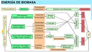 ENERGÍA DE BIOMASA
 