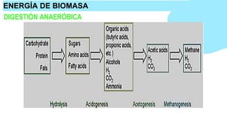 DIGESTIÓN ANAERÓBICA
ENERGÍA DE BIOMASA
 