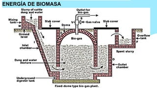 ENERGÍA DE BIOMASA
 