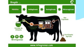 Biomasa 01 2023-Subir.pptx
