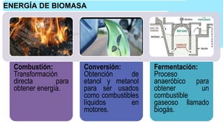 ● La aplicación de la biomasa se puede dividir en 3 categorías:
Combustión:
Transformación
directa para
obtener energía.
Conversión:
Obtención de
etanol y metanol
para ser usados
como combustibles
líquidos en
motores.
Fermentación:
Proceso
anaeróbico para
obtener un
combustible
gaseoso llamado
biogás.
ENERGÍA DE BIOMASA
 