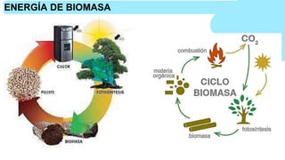 ENERGÍA DE BIOMASA
 