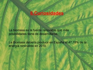 6.Curiosidades La biomasa es la fuente renovable que más posibilidades tiene de desarrollarse. La Biomasa debería producir en España el 47,78% de la energía renovable en 2010. 