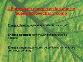 4.Formas de energía en las que se puede aprovechar y como Energía térmica:  agua o aire caliente, vapor, etc. Energía eléctrica:  para mover distintos tipos de turbinas. Energía mecánica:  motores de vehículos alimentados con biocarburantes. 