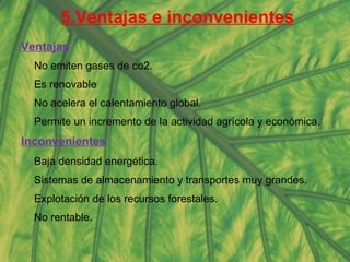 5.Ventajas e inconvenientes Ventajas No emiten gases de co2. Es renovable No acelera el calentamiento global. Permite un incremento de la actividad agrícola y económica. Inconvenientes Baja densidad energética. Sistemas de almacenamiento y transportes muy grandes. Explotación de los recursos forestales. No rentable. 
