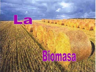 La Biomasa 