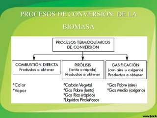 PROCESOS DE CONVERSIÓN DE LA
BIOMASA
 