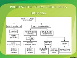 PROCESOS DE CONVERSIÓN DE LA
BIOMASA
 