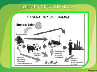 ORIGEN DE LA BIOMASA
 