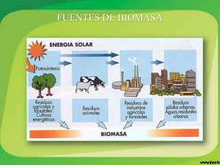 FUENTES DE BIOMASA
 