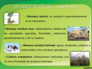 CLASIFICACIÓN DE LA BIOMASA
Biomasa natural: se produce espontáneamente
en la naturaleza.
Biomasa residual seca: subproductos sólidos de
las actividades agrícolas, forestales, industrias
agroalimentarias y de la madera.
Biomasa residual húmeda: aguas residuales urbanas e
industriales y los residuos ganaderos.
Cultivos energéticos: plantaciones realizadas con
la única finalidad de producir biomasa.
 