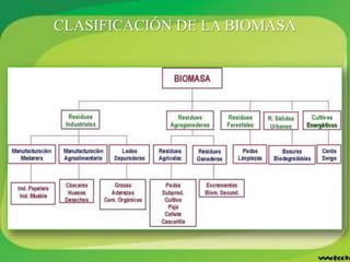 CLASIFICACIÓN DE LA BIOMASA
 