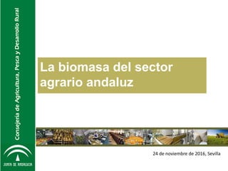 La biomasa del sector
agrario andaluz
24 de noviembre de 2016, Sevilla
 