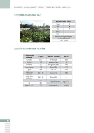 BIOMASA DE RESIDUOS AGRÍCOLAS EN EL DEPARTAMENTO DE ANTIOQUIA
30
Solidago (Solidago sp.)
Caracterización de los residuos
C...