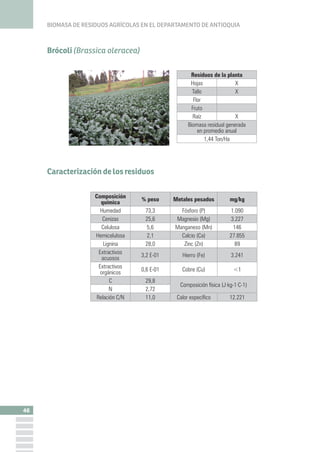 BIOMASA DE RESIDUOS AGRÍCOLAS EN EL DEPARTAMENTO DE ANTIOQUIA
50
Caracterización de los residuos
Repollo (Brassica olerace...