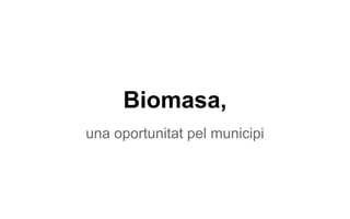 Biomasa,
una oportunitat pel municipi

 
