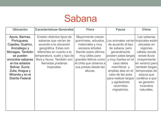 Sabana 
Ubicación Características Generales Flora Fauna Clima 
Apure, Barinas, 
Portuguesa, 
Cojedes, Guárico, 
Anzoátegui y 
Monagas. También 
se pueden 
encontrar sabanas 
en los estados 
Bolivar, Sucre, 
Zulia, Aragua y 
Miranda y en el 
Distrito Federal 
Existen distintos tipos de 
sabanas que varían de 
acuerdo a la ubicación 
geográfica. Estas son 
diferentes en cuanto a la 
temperatura, suelo y tipo de 
flora y fauna. También son 
llamadas praderas 
tropicales. 
Mayormente crecen 
gramíneas, arbustos, 
matorrales y muy 
escasos árboles. 
Siendo estos últimos 
muy útiles para 
grandes felinos como 
el chita que observa a 
sus presas desde las 
alturas. 
Los animales varían 
de acuerdo al tipo 
de sabana, pero 
generalmente 
poseen patas largas 
y muy fuertes en el 
caso delos 
mamíferos y 
amplias alas en el 
caso de las aves 
para realizar largos 
y agotadores 
recorridos 
migratorios. 
Las sabanas 
tropicales están 
ubicadas en 
regiones 
cálidas donde 
existe lluvia 
(mayormente 
en verano) pero 
también largas 
temporadas de 
sequía que 
conlleva a que 
se generen 
incendios 
naturales. 
 