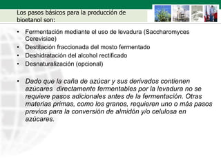 Los pasos básicos para la producción de bioetanol son: Fermentación mediante el uso de levadura (Saccharomyces Cerevisiae) Destilación fraccionada del mosto fermentado Deshidratación del alcohol rectificado Desnaturalización (opcional) Dado que la ca ñ a de azúcar y sus derivados contienen azúcares  directamente fermentables por la levadura no se requiere pasos adicionales antes de la fermentación. Otras materias primas, como los granos, requieren uno o m á s pasos previos para la conversión de almidón y/o celulosa en azúcares. 
