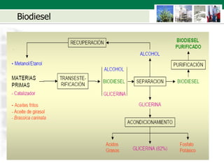 Biodiesel 