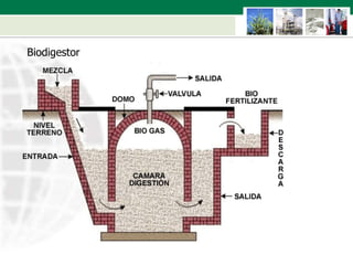 Biodigestor 