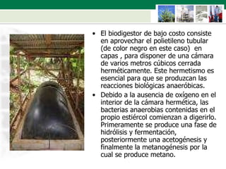 El biodigestor de bajo costo consiste en aprovechar el polietileno tubular (de color negro en este caso)  en capas , para disponer de una cámara de varios metros cúbicos cerrada herméticamente. Este hermetismo es esencial para que se produzcan las reacciones biológicas anaeróbicas.  Debido a la ausencia de oxígeno en el interior de la cámara hermética, las bacterias anaerobias contenidas en el propio estiércol comienzan a digerirlo. Primeramente se produce una fase de hidrólisis y fermentación, posteriormente una acetogénesis y finalmente la metanogénesis por la cual se produce metano.  