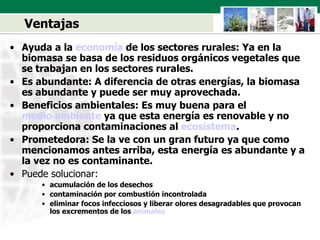 Ventajas Ayuda a la  economía  de los sectores rurales: Ya en la biomasa se basa de los residuos orgánicos vegetales que se trabajan en los sectores rurales.  Es abundante: A diferencia de otras energías, la biomasa es abundante y puede ser muy aprovechada.  Beneficios ambientales: Es muy buena para el  medio ambiente  ya que esta energía es renovable y no proporciona contaminaciones al  ecosistema .  Prometedora: Se la ve con un gran futuro ya que como mencionamos antes arriba, esta energía es abundante y a la vez no es contaminante.  Puede solucionar:  acumulación de los desechos  contaminación por combustión incontrolada  eliminar focos infecciosos y liberar olores desagradables que provocan los excrementos de los  animales   