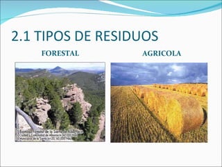 2.1 TIPOS DE RESIDUOS  FORESTAL AGRICOLA 