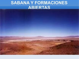 SABANA Y FORMACIONES
ABIERTAS