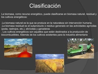Clasificación
La biomasa, como recurso energético, puede clasificarse en biomasa natural, residual y
los cultivos energéticos:

.La biomasa natural es la que se produce en la naturaleza sin intervención humana.
.La biomasa residual es el subproducto o residuo generado en las actividades agrícolas
(poda, rastrojos, etc.), silvícolas y ganaderas
. Los cultivos energéticos son aquellos que están destinados a la producción de
biocombustibles. Además de los cultivos existentes para la industria alimentaria
 