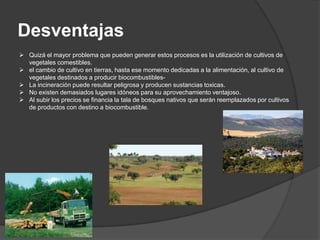 Desventajas
 Quizá el mayor problema que pueden generar estos procesos es la utilización de cultivos de
  vegetales comestibles.
 el cambio de cultivo en tierras, hasta ese momento dedicadas a la alimentación, al cultivo de
  vegetales destinados a producir biocombustibles-
 La incineración puede resultar peligrosa y producen sustancias toxicas.
 No existen demasiados lugares idóneos para su aprovechamiento ventajoso.
 Al subir los precios se financia la tala de bosques nativos que serán reemplazados por cultivos
  de productos con destino a biocombustible.
 