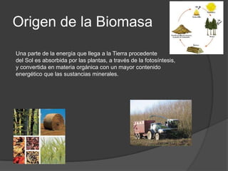 Origen de la Biomasa
Una parte de la energía que llega a la Tierra procedente
del Sol es absorbida por las plantas, a través de la fotosíntesis,
y convertida en materia orgánica con un mayor contenido
energético que las sustancias minerales.
 
