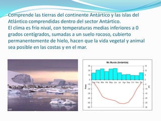 Comprende las tierras del continente Antártico y las islas del
Atlántico comprendidas dentro del sector Antártico.
El clima es frío nival, con temperaturas medias inferiores a 0
grados centígrados, sumadas a un suelo rocoso, cubierto
permanentemente de hielo, hacen que la vida vegetal y animal
sea posible en las costas y en el mar.
 