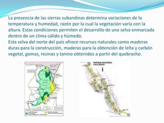 La presencia de las sierras subandinas determina variaciones de la
temperatura y humedad, razón por la cual la vegetación varía con la
altura. Estas condiciones permiten el desarrollo de una selva enmarcada
dentro de un clima cálido y húmedo.
Esta selva del norte del país ofrece recursos naturales como maderas
duras para la construcción, maderas para la obtención de leña y carbón
vegetal, gomas, resinas y tanino obtenidos a partir del quebracho.
 