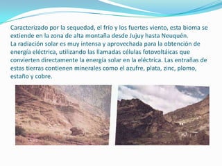 Caracterizado por la sequedad, el frío y los fuertes viento, esta bioma se
extiende en la zona de alta montaña desde Jujuy hasta Neuquén.
La radiación solar es muy intensa y aprovechada para la obtención de
energía eléctrica, utilizando las llamadas células fotovoltáicas que
convierten directamente la energía solar en la eléctrica. Las entrañas de
estas tierras contienen minerales como el azufre, plata, zinc, plomo,
estaño y cobre.
 