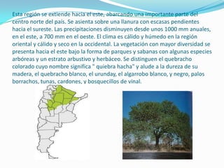 Esta región se extiende hacia el este, abarcando una importante parte del
centro norte del país. Se asienta sobre una llanura con escasas pendientes
hacia el sureste. Las precipitaciones disminuyen desde unos 1000 mm anuales,
en el este, a 700 mm en el oeste. El clima es cálido y húmedo en la región
oriental y cálido y seco en la occidental. La vegetación con mayor diversidad se
presenta hacia el este bajo la forma de parques y sabanas con algunas especies
arbóreas y un estrato arbustivo y herbáceo. Se distinguen el quebracho
colorado cuyo nombre significa " quiebra hacha" y alude a la dureza de su
madera, el quebracho blanco, el urunday, el algarrobo blanco, y negro, palos
borrachos, tunas, cardones, y bosquecillos de vinal.
 