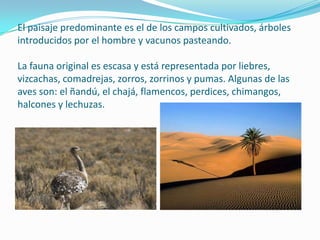 El paisaje predominante es el de los campos cultivados, árboles
introducidos por el hombre y vacunos pasteando.

La fauna original es escasa y está representada por liebres,
vizcachas, comadrejas, zorros, zorrinos y pumas. Algunas de las
aves son: el ñandú, el chajá, flamencos, perdices, chimangos,
halcones y lechuzas.
 