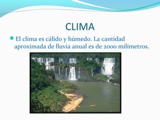 CLIMA
El clima es cálido y húmedo. La cantidad
 aproximada de lluvia anual es de 2000 milímetros.
 