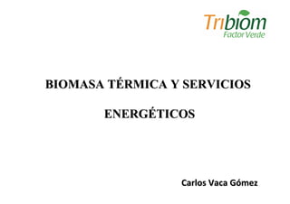 BIOMASA TÉRMICA Y SERVICIOS

       ENERGÉTICOS




                 Carlos Vaca Gómez
 