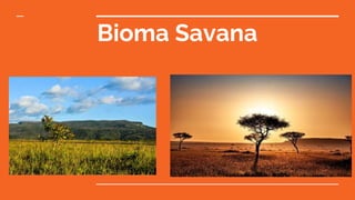 Bioma Savana
 