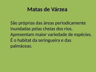 Matas de Várzea
São próprias das áreas periodicamente
inundadas pelas cheias dos rios.
Apresentam maior variedade de espécies.
É o habitat da seringueira e das
palmáceas.
 